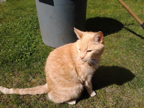 Mouser