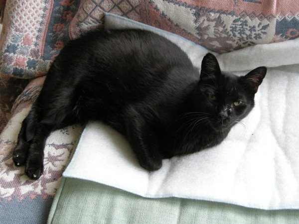 Samson